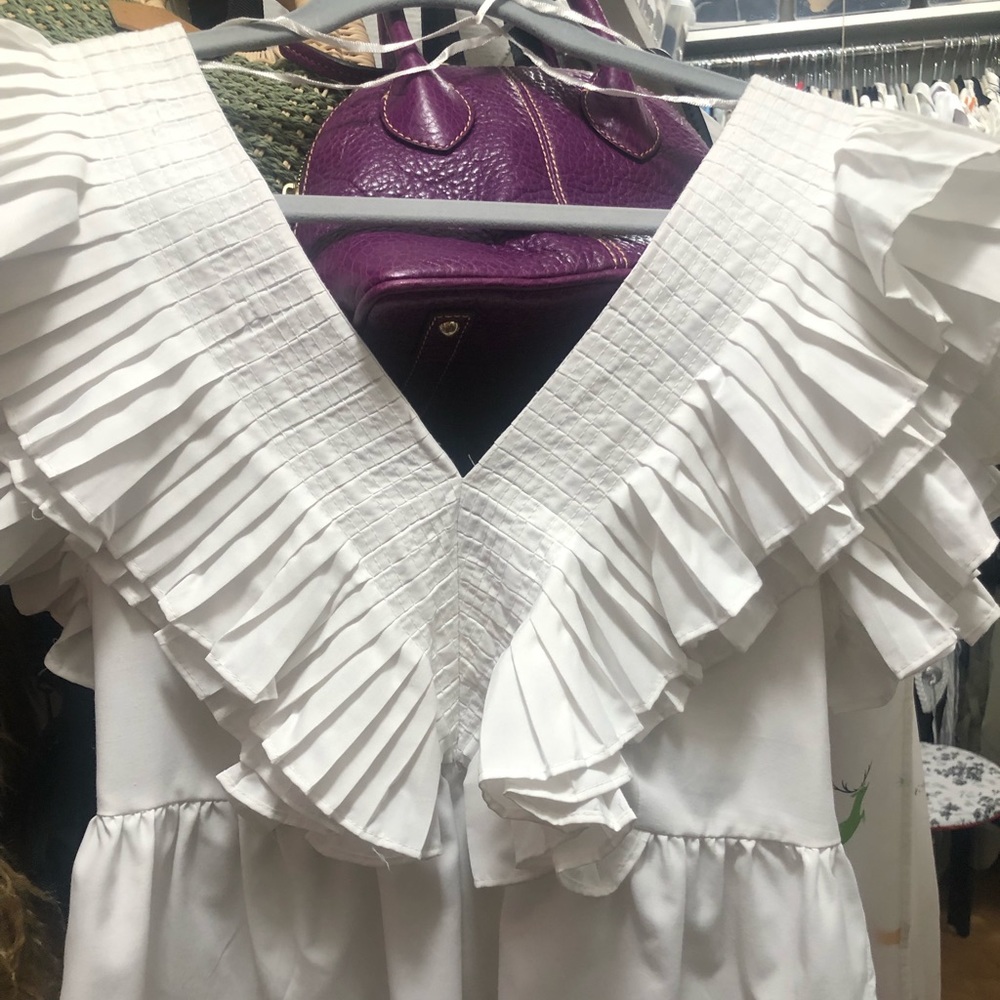 NWT ZARA ruffle v neck top